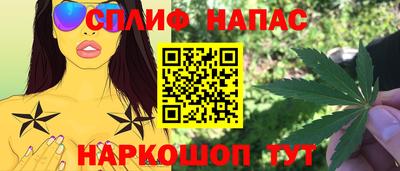 прущие грибы Нальчик