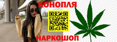 прущие грибы Нальчик