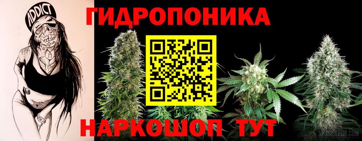 МАРИХУАНА Bruce Banner  Бошки марихуана Amnesia  Вход с VPN  Скопин  Марихуана Bruce Banner 